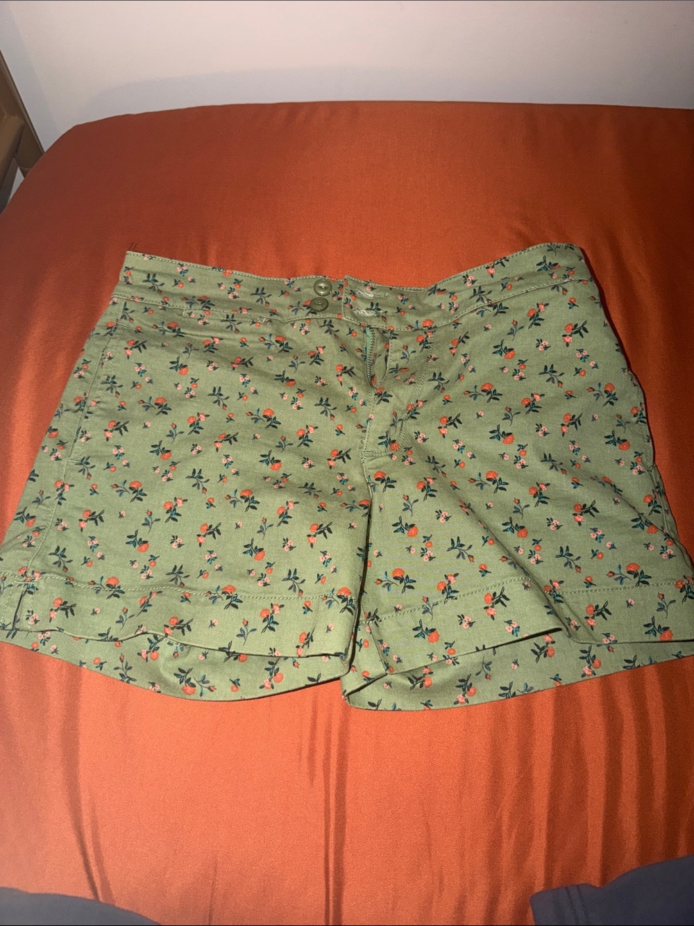 Sanctuary x Anthropologie Odyssey Shorts